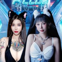 無損音質超重低音中文DJ舞曲，土嗨車載串燒大碟，嗨到爆棚解壓必備