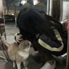 肇慶DJ小姚-全外文VinaHouse音樂瑪田鼓超嗨節奏夜店狂歡派對DJ串燒